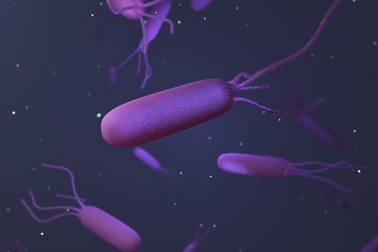 ピロリ菌検査のイメージ写真